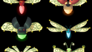 fireflies.png